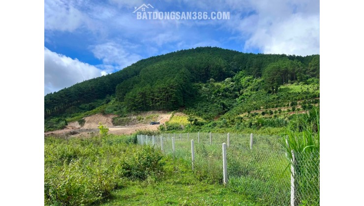 Cần Bán Đất An Sơn Villas 239m² Có 150m² Thổ Cư, Nở Hậu Đẹp